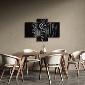 Obraz zebry (90x60 cm)