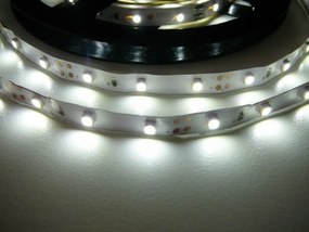 LED pásik 4,8Wm 12V bez krytia IP20 Economy Farba svetla Studená biela
