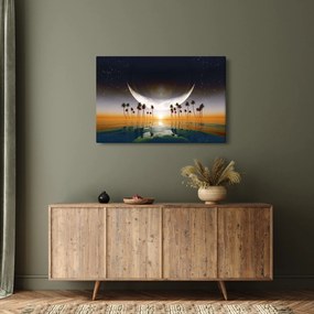 Obraz - Mesiac nad palmami (90x60 cm)