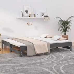 Rozkladacia denná posteľ sivá 2x(90x200) cm borovicový masív 823381