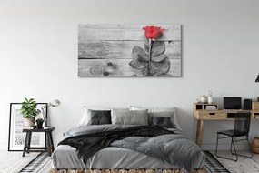 Obraz plexi Rose 140x70 cm