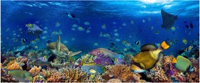 Obraz - Oceán (120x50 cm)