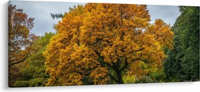 Obraz stromu (120x50 cm)