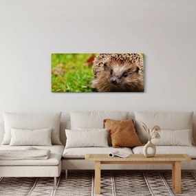 Obraz ježka (120x50 cm)
