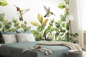 Samolepiaca tapeta kolibríky a listy