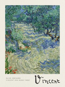 Umelecká tlač Olive Orchard - Vincent van Gogh, (30 x 40 cm)