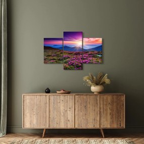 Obraz - Horská rozkvitnutá krajina (90x60 cm)
