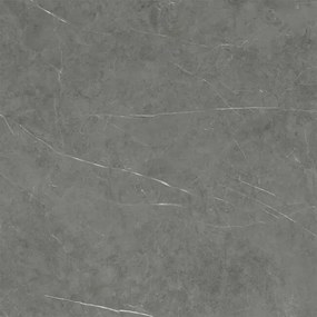 Dlažba Tessino Grey Natural 120x120 R