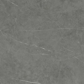 Dlažba Tessino Grey Natural 120x120 R