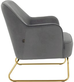 Sivé zamatové kreslo Joshua - Støraa