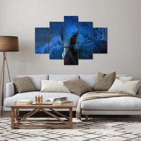 Obraz - Holub korunovaný (150x105 cm)