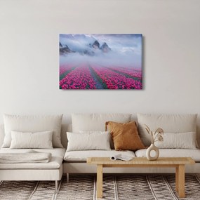 Obraz - Krajina s tulipánovými poľami (90x60 cm)