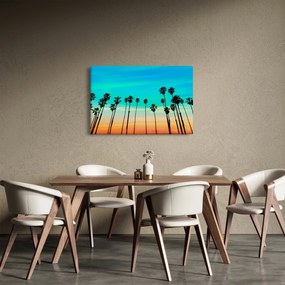 Obraz - Kalifornia (90x60 cm)