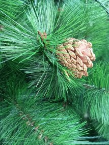 DECOLED Umelý vianočný stromček, 210 cm