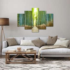 Obraz - Bambusový les (150x105 cm)