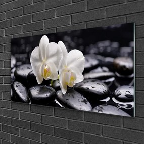 Skleneny obraz Kamene zen biela orchidea 120x60 cm