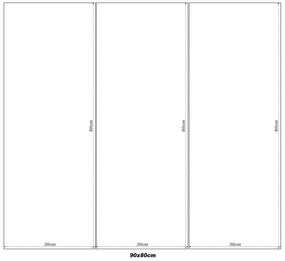 Gario 3 dielny fotoobraz na plátne Rozmery: 90 x 30 cm