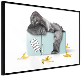 Artgeist Plagát - Hungry Gorilla [Poster] Veľkosť: 90x60, Verzia: Čierny rám s passe-partout