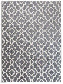 Kusový koberec Fedion šedý 140x190cm