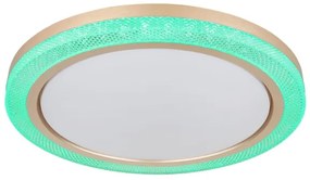 Globo 41372-24 - LED RGBW Stmievateľné stropné svietidlo BOLLY LED/20W/230V + DO