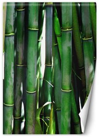 Gario Fototapeta Zelené bambusy Materiál: Vliesová, Rozmery: 100 x 140 cm