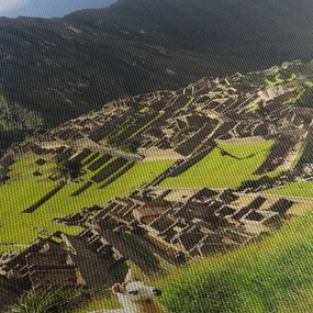 Obraz - Lamy v Machu Picchu (90x60 cm)