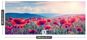 Fototapeta Vliesová Makové kvety 152x104 cm