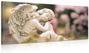 Obraz spokojný anjel - 100x50