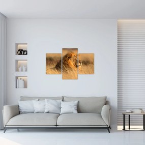 Obraz - Národný park Etosha (90x60 cm)