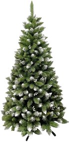 Vianočný stromček- Borovica Iza 240cm