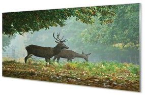 Sklenený obraz Jeleňa na jeseň les 140x70 cm