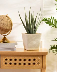 PLASTOVÝ KVETINÁČ PILEA TX 18X18 CM KRÉMOVÁ