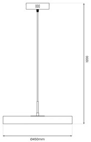 LED Luster na lanku DISC LED/38W/230V pr. 45 cm čierna