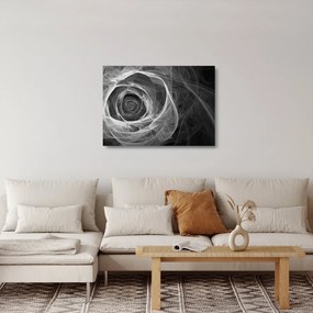 Sklenený obraz - Abstraktné ruže čiernobiela (70x50 cm)