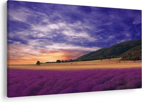 Obraz levanduľovej lúky (90x60 cm)