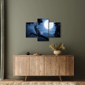 Obraz - Nočná sova (90x60 cm)