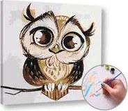 Maľovanie podľa čísel SOVA – nízka náročnosť