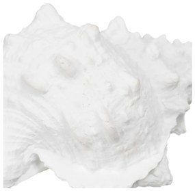 Soška z polyresínu (výška 12 cm) Seashell – Ixia