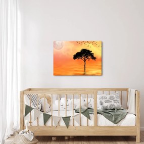 Obraz stromu pri západe slnka (70x50 cm)