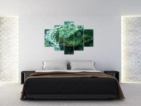 Obraz - Portrét hada (150x105 cm)