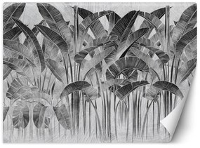 Gario Fototapeta Banánové listy v čiernej a bielej farbe Materiál: Vliesová, Rozmery: 200 x 140 cm