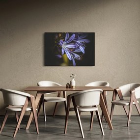 Obraz - Lila (90x60 cm)