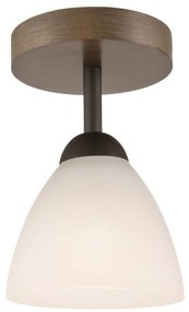 Lamkur Prisadený luster ADRIANO 1xE27/60W/230V LA28286