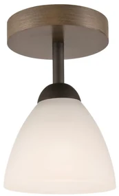 Lamkur Prisadený luster ADRIANO 1xE27/60W/230V LA28286