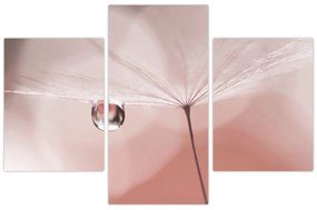 Obraz - Kvapka rosy (90x60 cm)