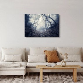 Obraz - Les v hmle (90x60 cm)
