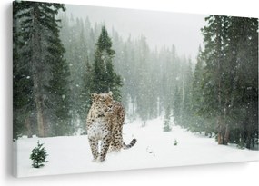 Obraz leoparda v snehu (90x60 cm)
