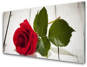 Skleneny obraz Ruže kvet rastlina 100x50 cm