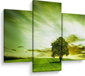 Obraz - Strom života (90x60 cm)