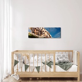 Obraz - Sova (s hodinami) (90x30 cm)
